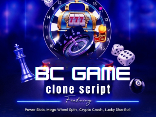 build-brand-and-grow-your-online-casino-business-with-a-bc-game-clone-script