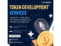 develop-scalable-token-standards-with-our-custom-token-development-services-small-0
