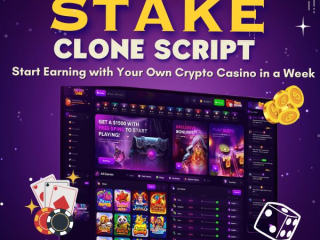stake-clone-script-build-your-high-performance-crypto-casino-betting-platform