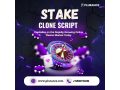create-an-investor-focused-stake-clone-script-with-multiple-revenue-streams-small-0